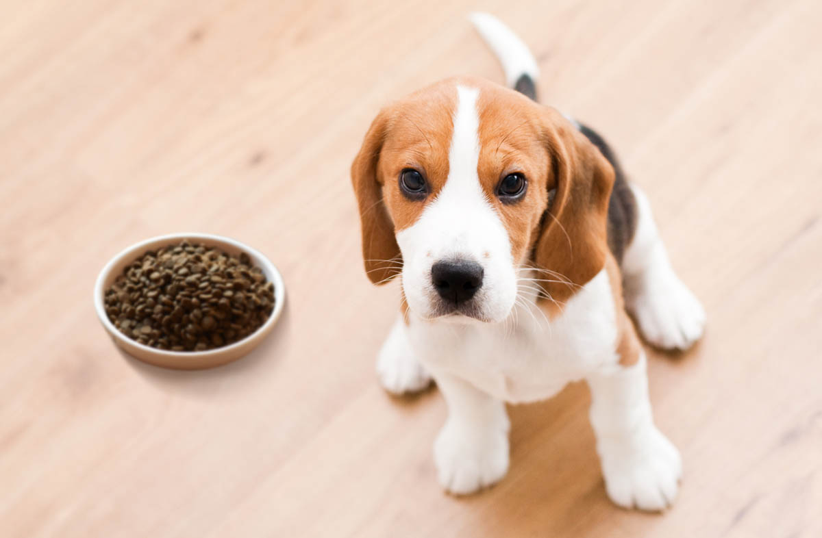  ���� ����� ������ ��������� ����� 