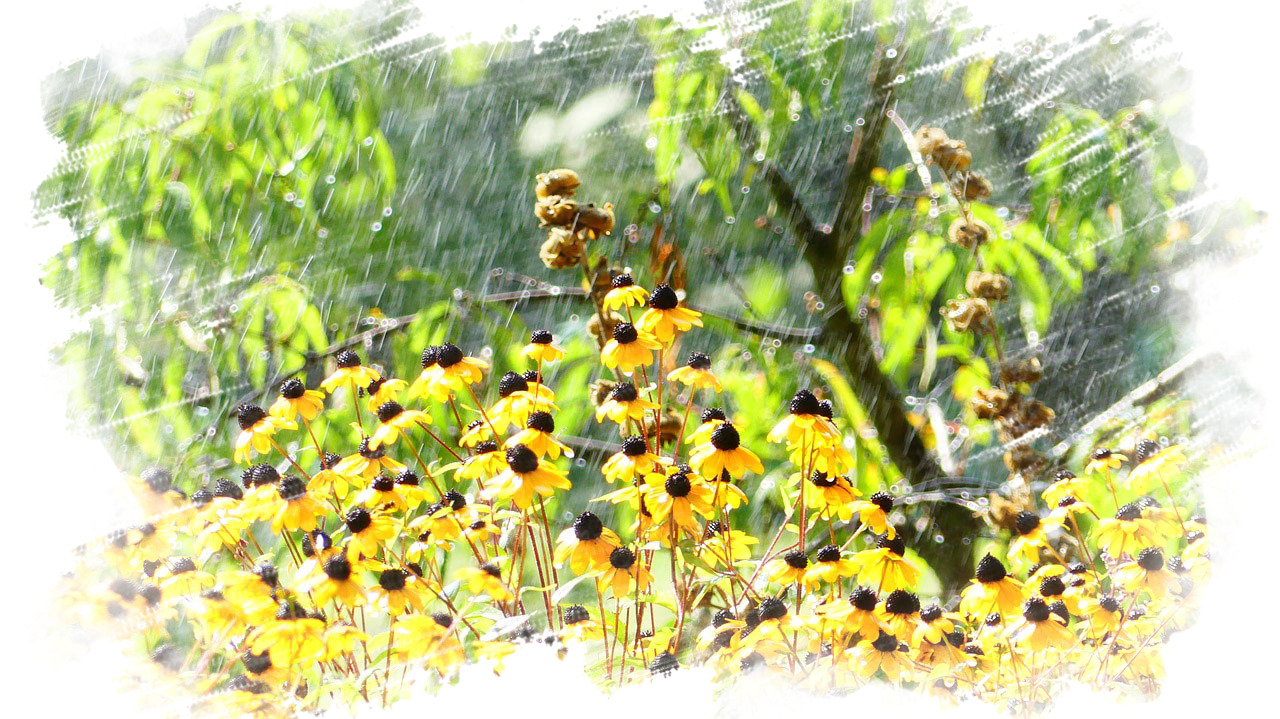  ������ ���� �������� ���������� ����� ����� ������ 