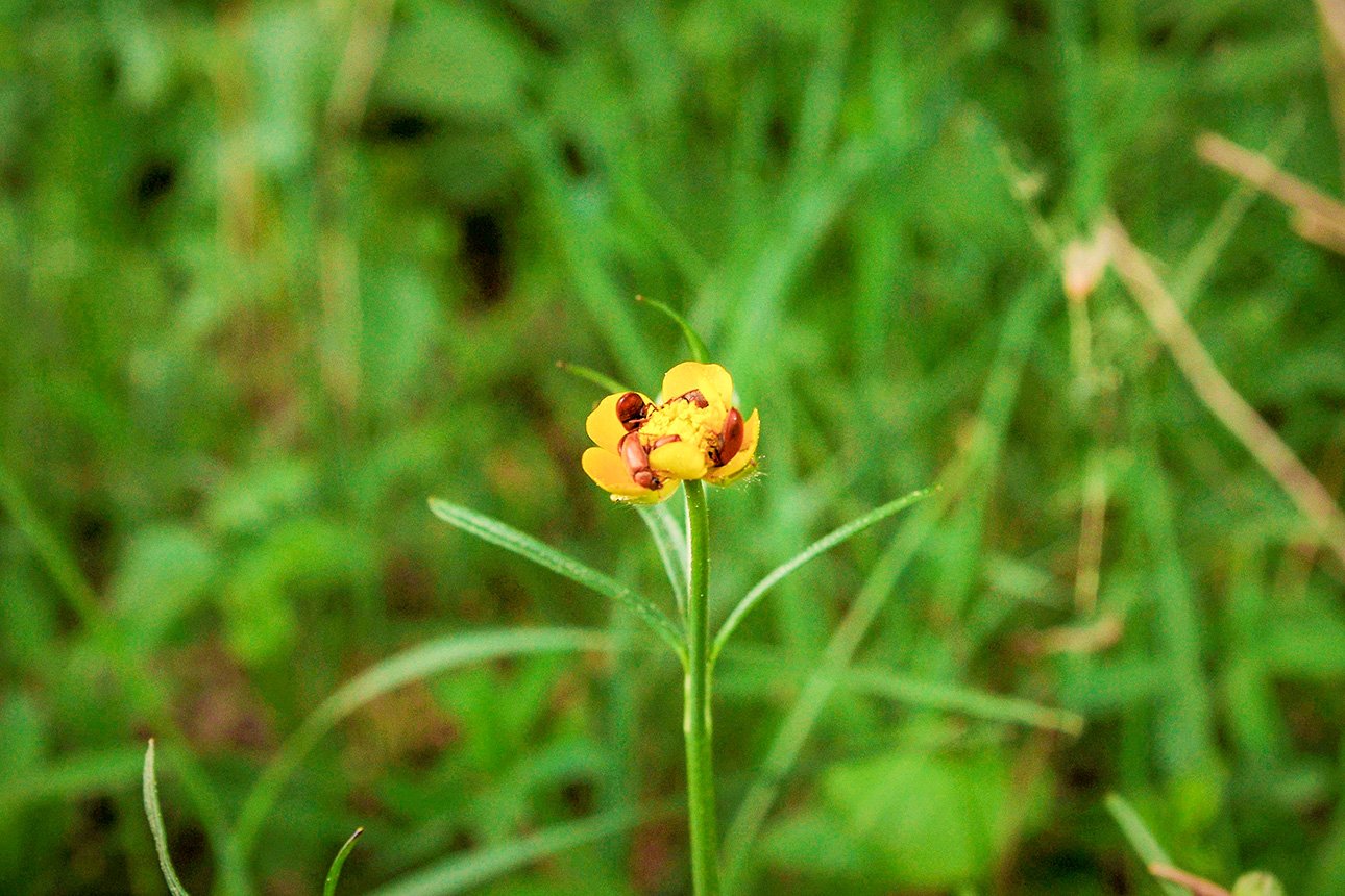  ������ ����� ��������� ������ �������� 100 