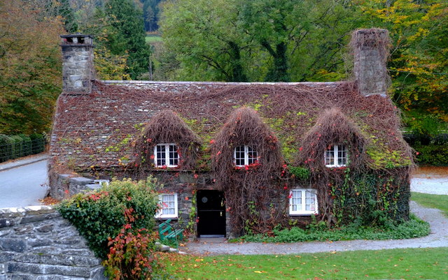  ���������� �������� �������� ����� ������������� ��� �������� ���� 