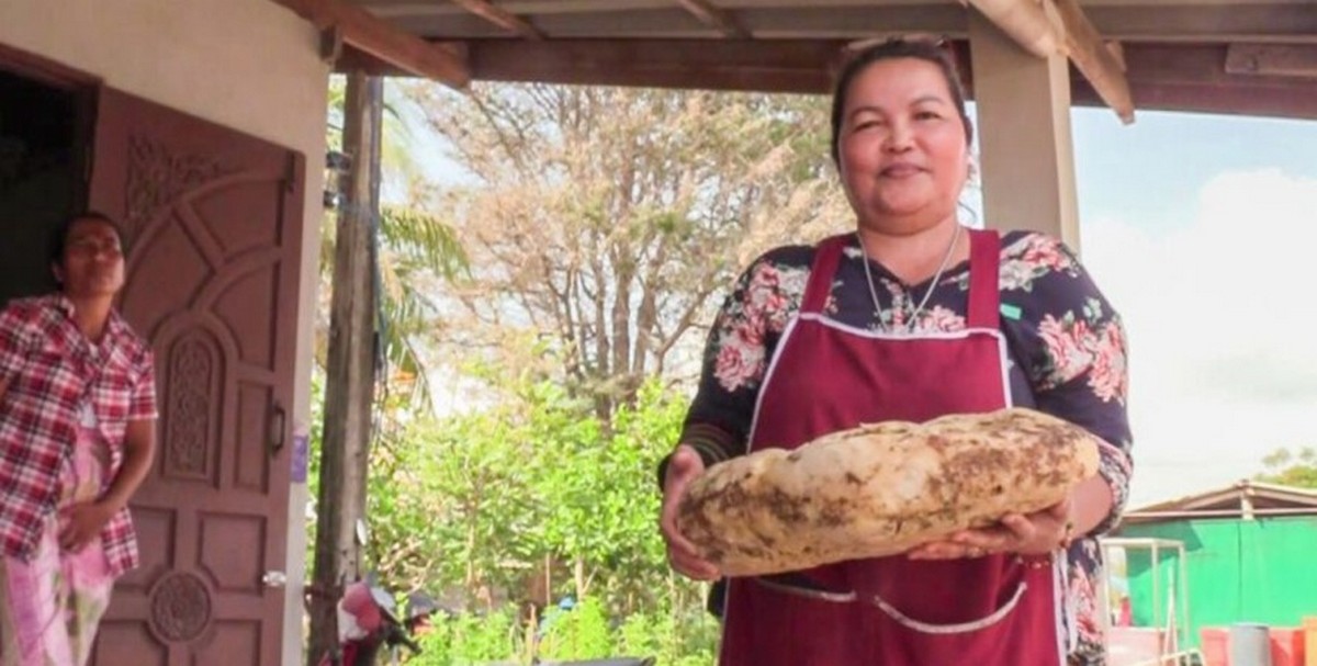  ���������� �������� ����������� ������� ��������� ���� 