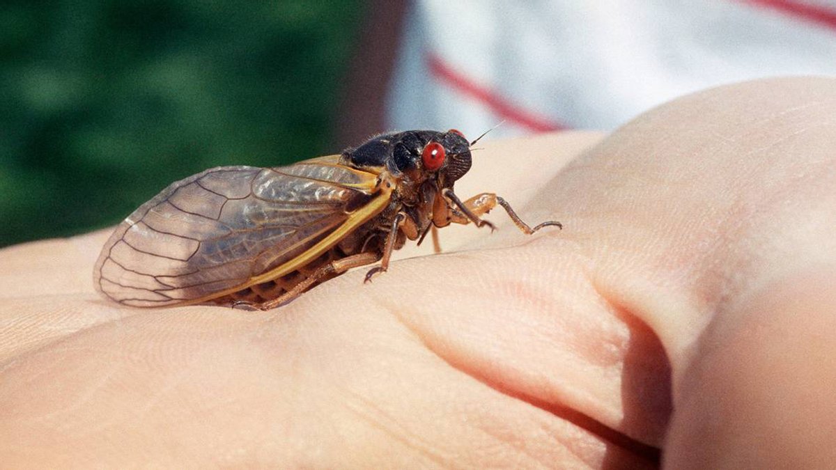 ����: comments.ua