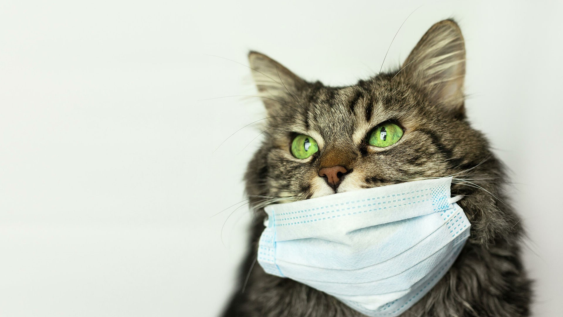  ����� ����� �������� �������� ��������� ����������� ������� 