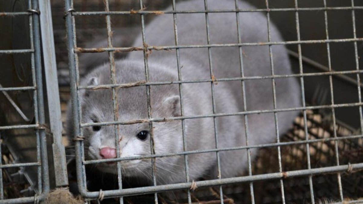  ����� ��������� ��������� ����� 