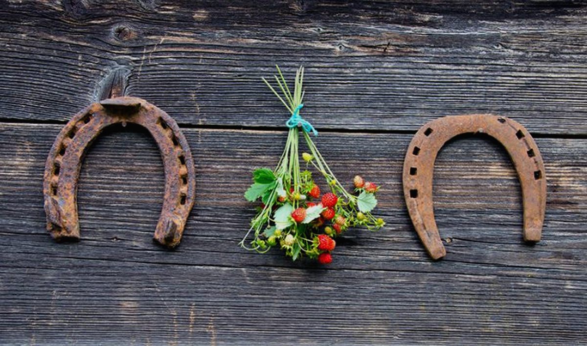  ���������-�������� ������ ���� 