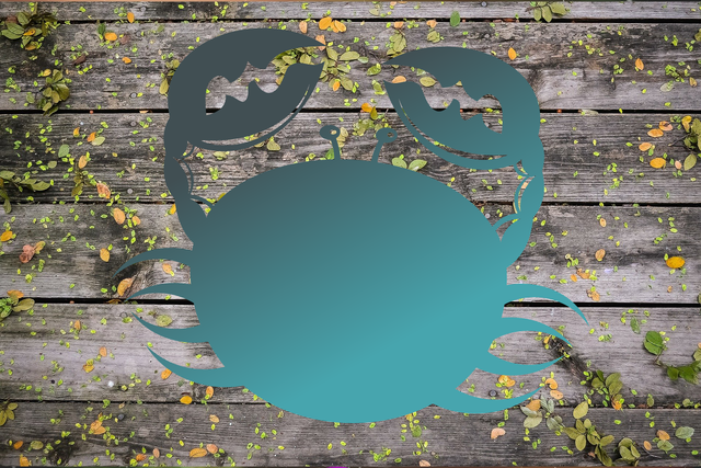  �������� ������ 2021 ������� ������ ������� 