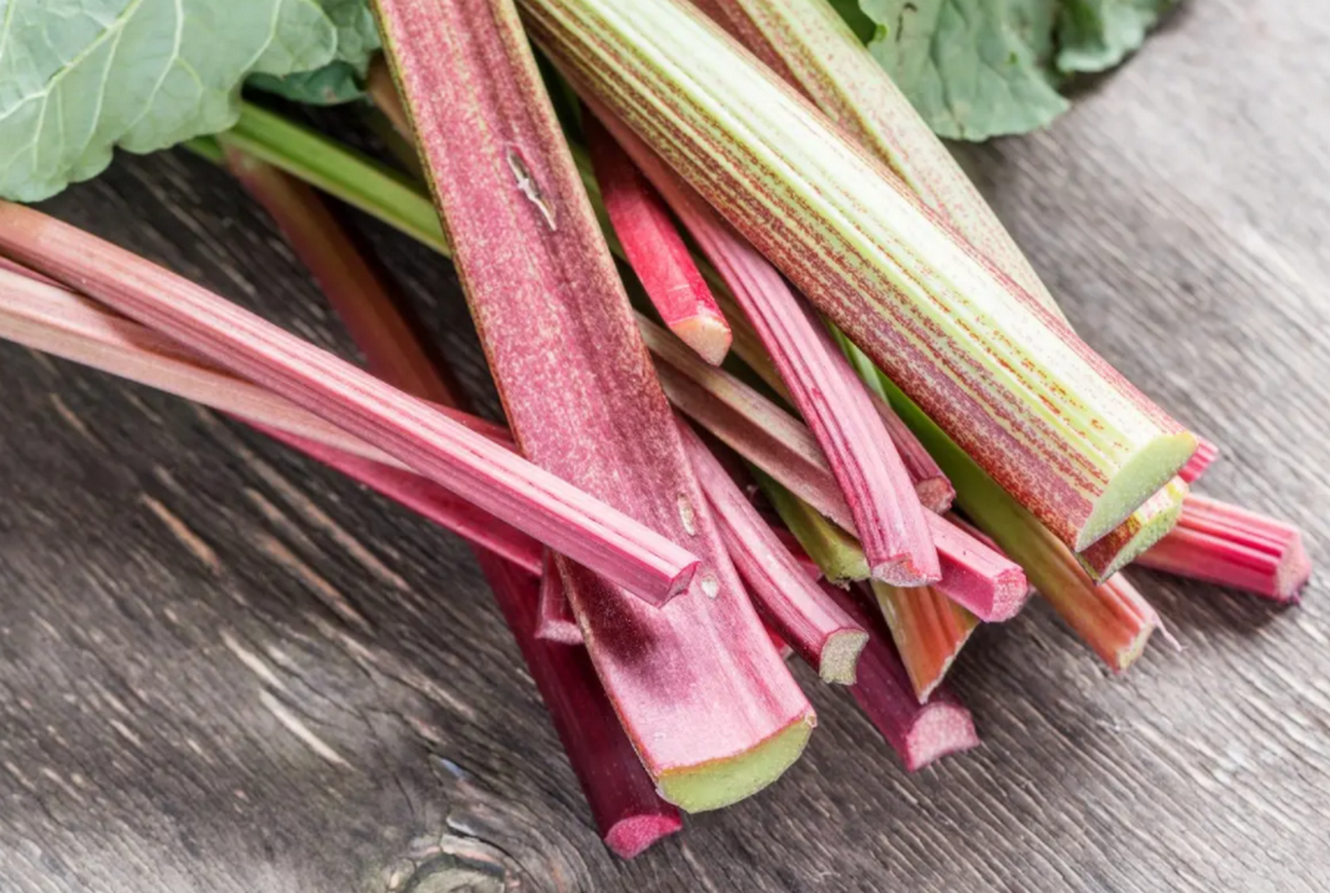  ���������� ���� ��������� �������� 