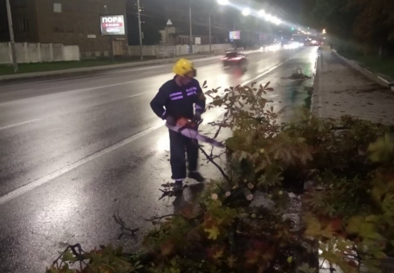  �������� ��������� ���� ������ ����������� 