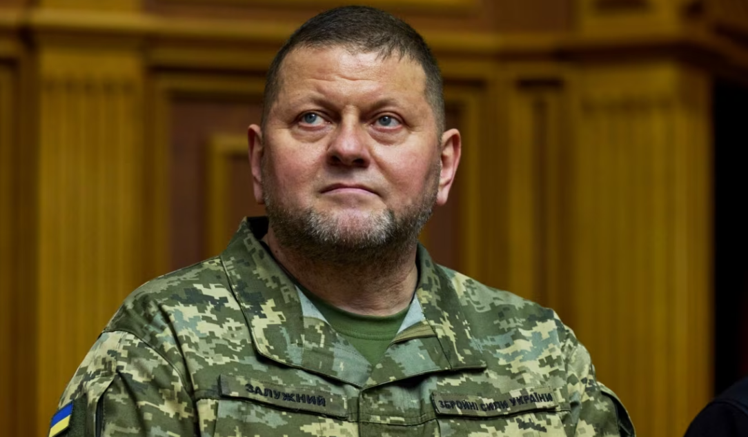  �������� �������� ��������� ������ �������� ���� ���� 2024 