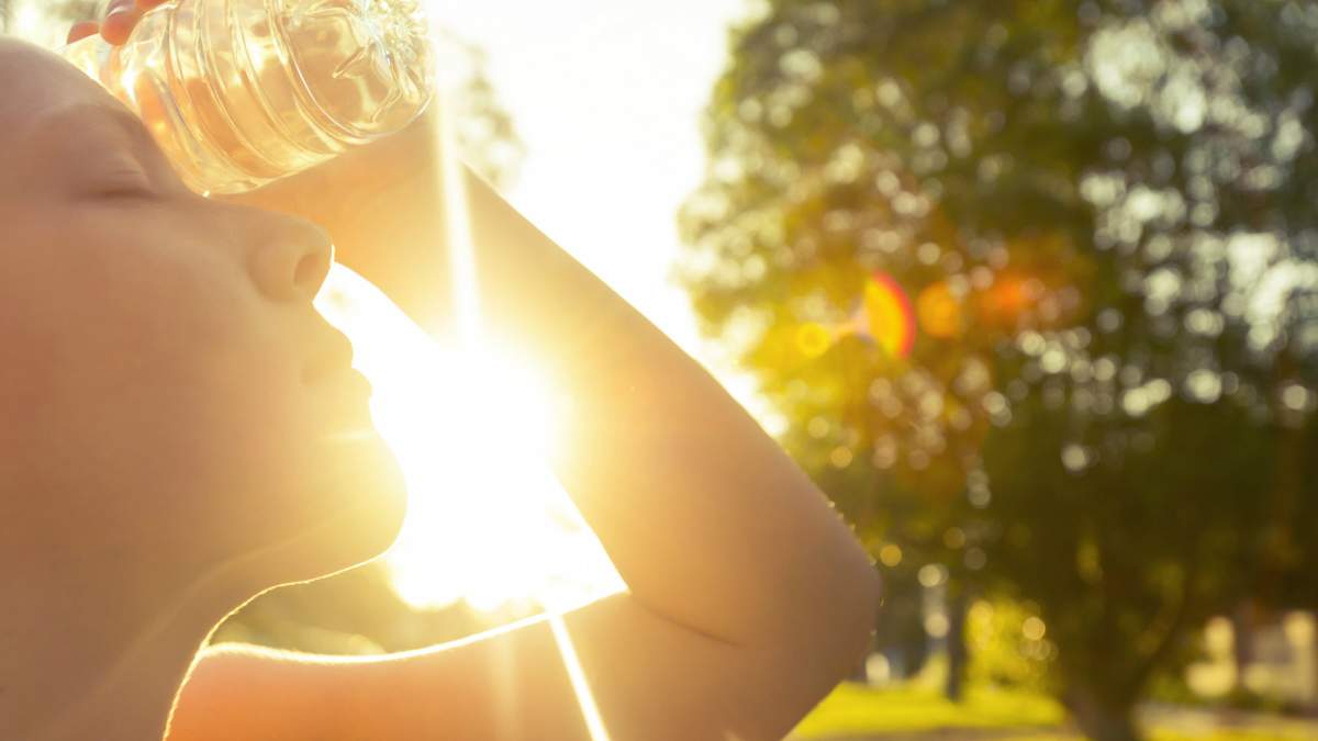  �������� ������������ ����������� ���� ������� ��������� ������ 