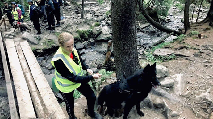  �������� ��������� �������� ����� ����� 