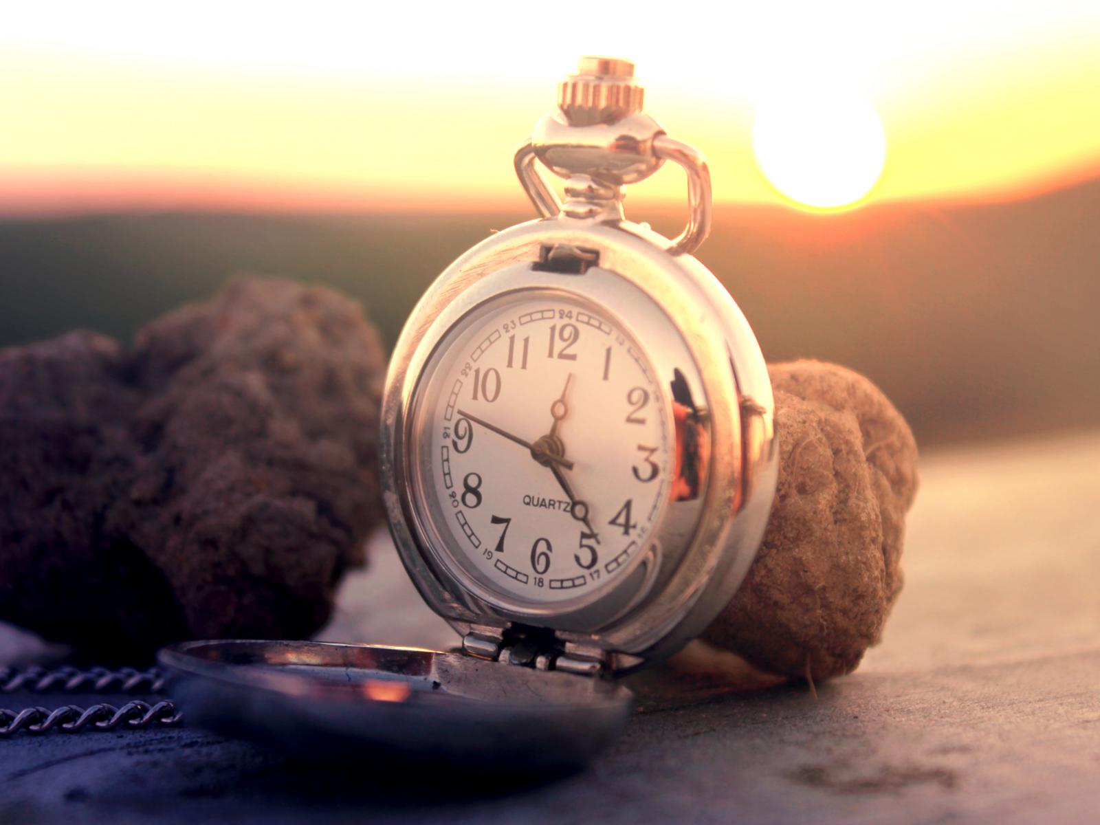  ���������� ���� ������ ������� ������������ ����� 