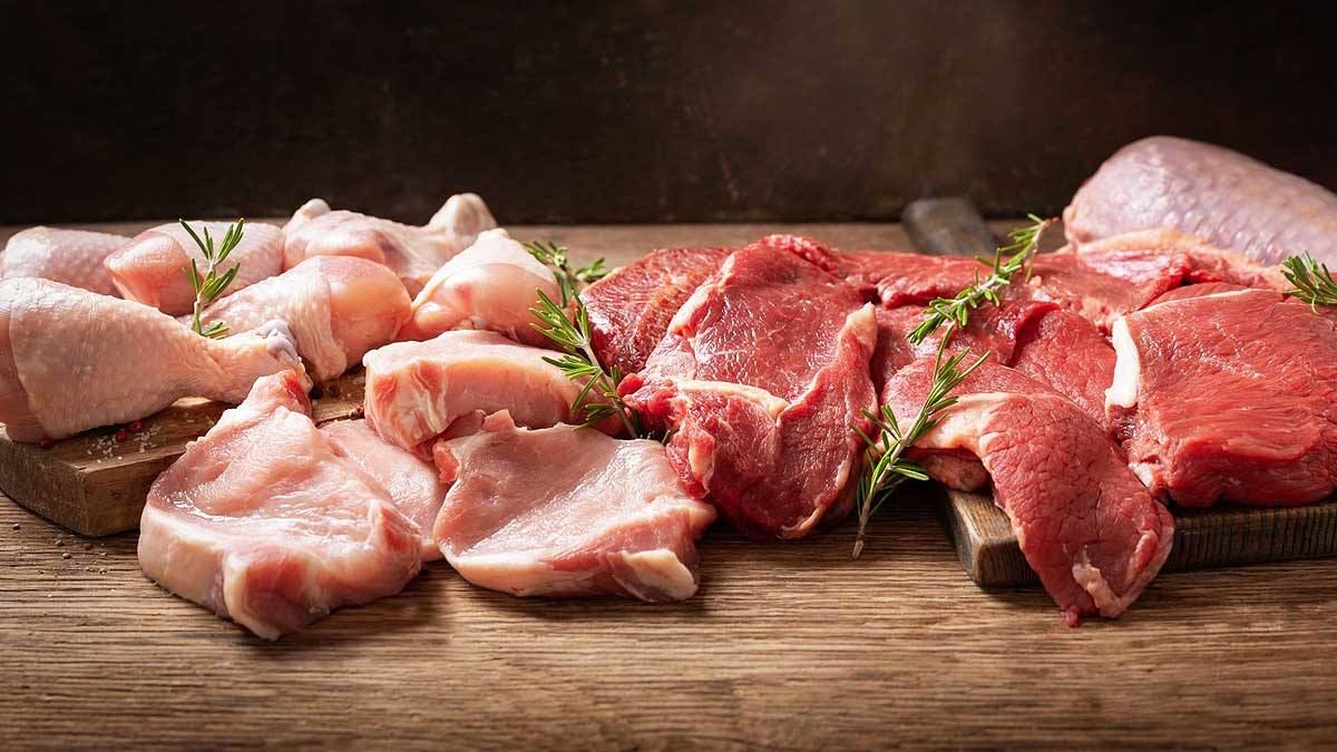  ���� ���� ����������� ������������ 