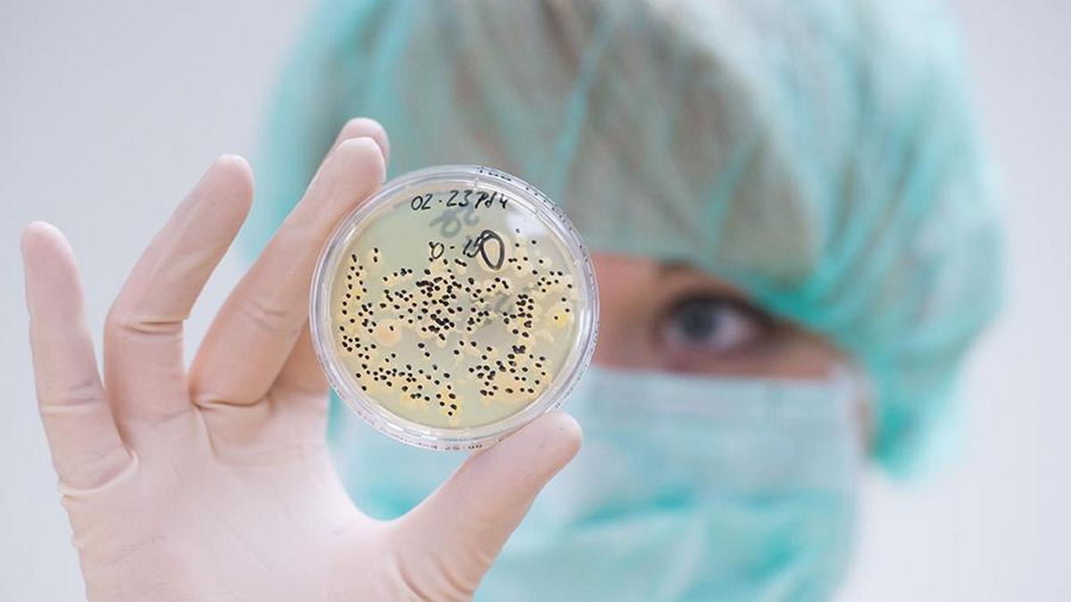  ������������ �������� �������� ������ ������� 