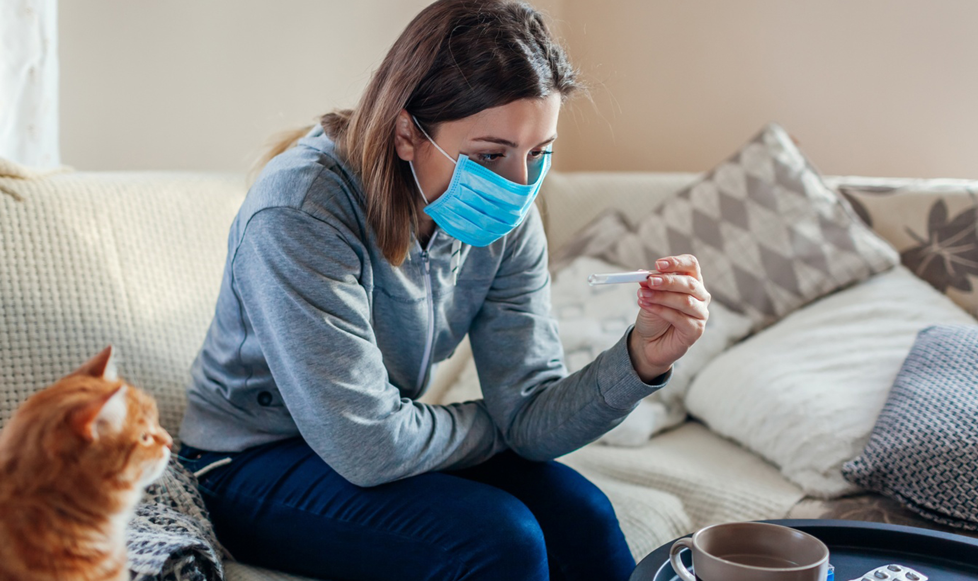  ���� ������ ����� ������� ���� ������� covid-19 