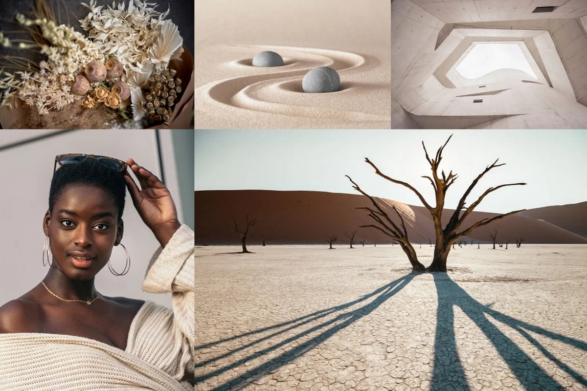  ����� ��������� 2021 ������ shutterstock 