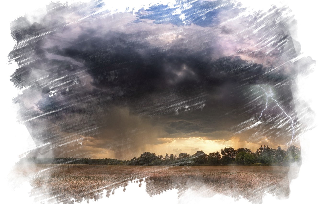  ������ ������� ��������� ������������ ��������� 