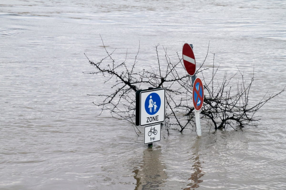  ��������� ������������� ���������� ��������� �������� ������� �������� ������� 