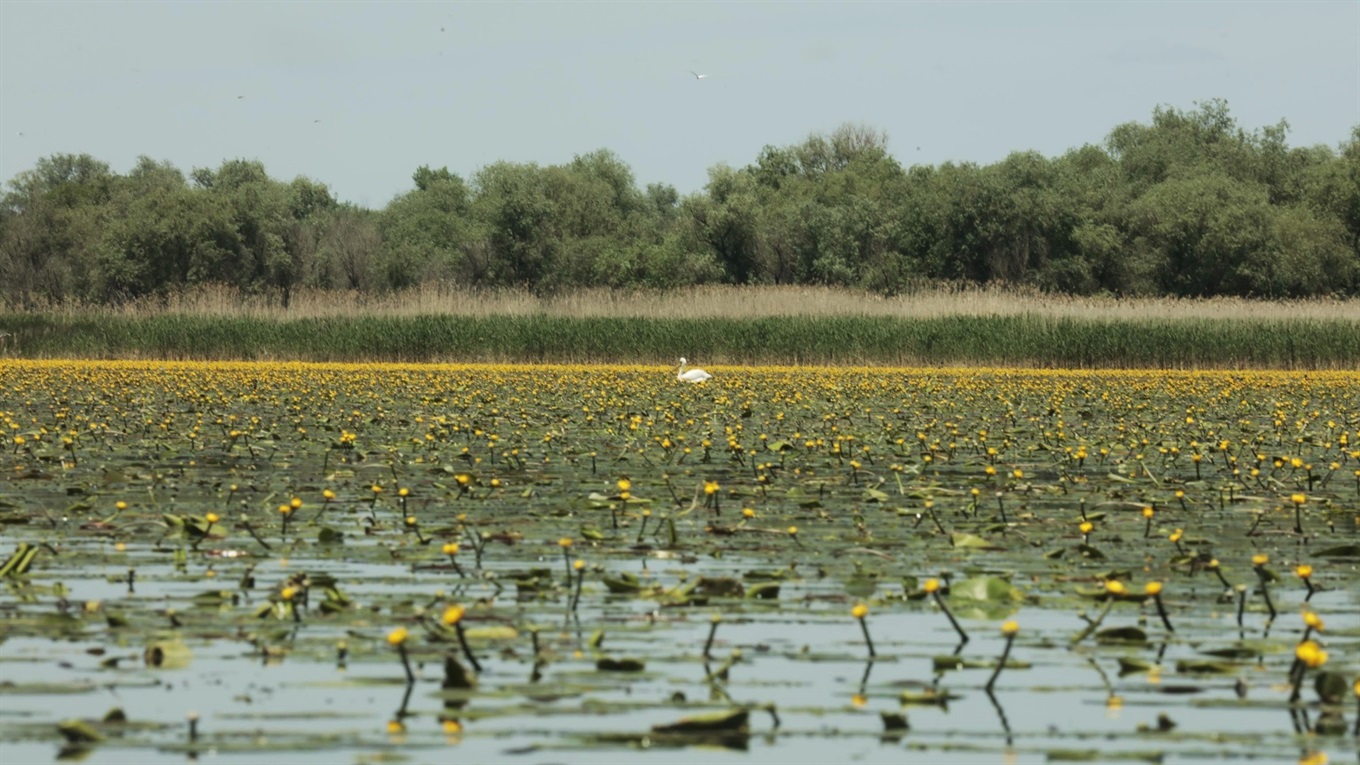  ���� ������ ����������� ������ ������ ������� 