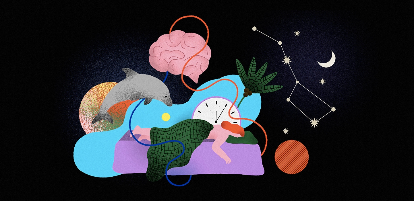  ������������� ���� 