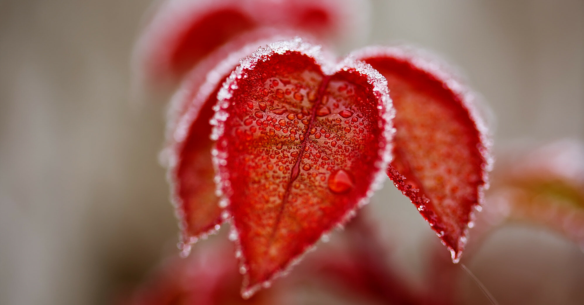  ������� ���������� �������� ��������� ������� ��������� �������� 