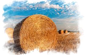  ������� ������ ������� ��������� ��������� ��� 