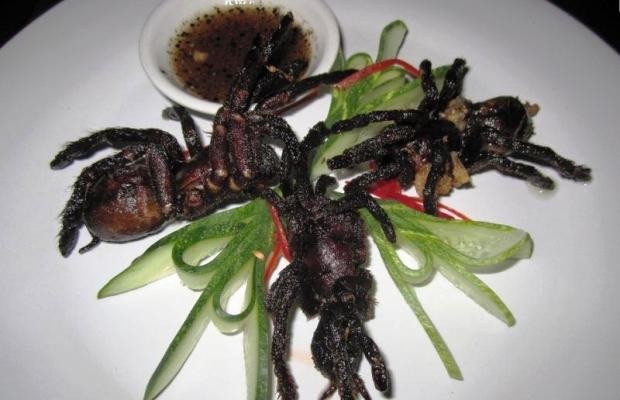  ����� �������� ��������� ����� ���� 