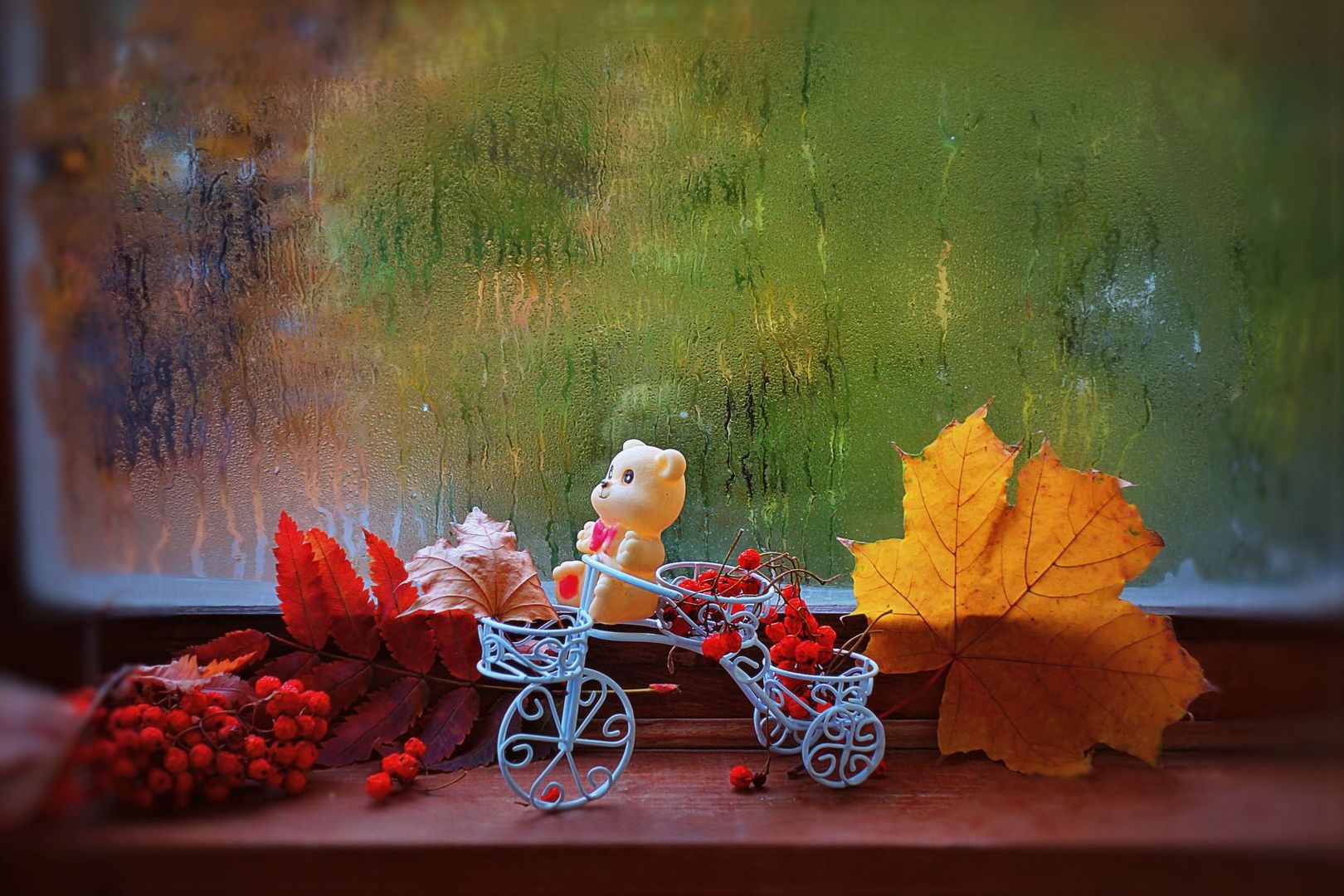  ������� ��������� ����� ������� ������ ��������� ��� 