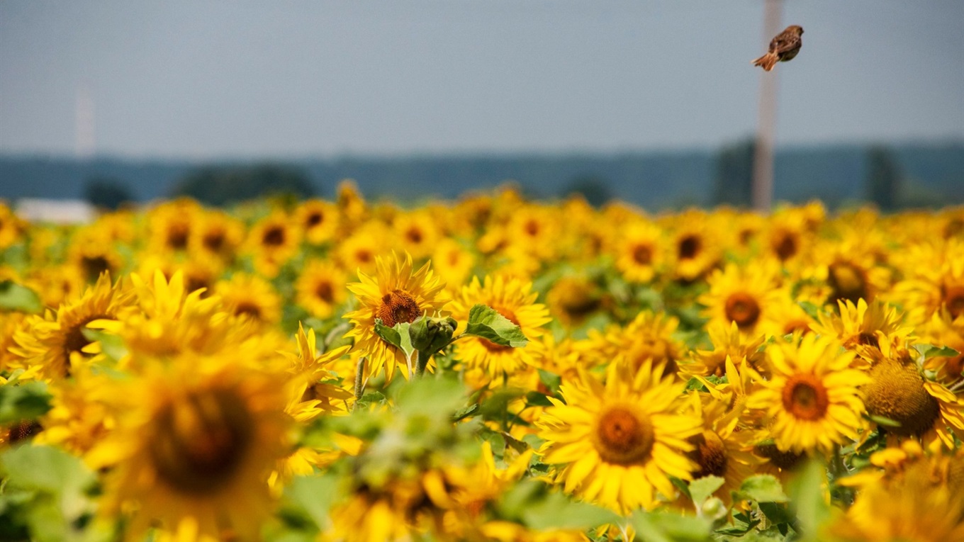  �������� ���� ��������� ���������� ������ ������� ������� 