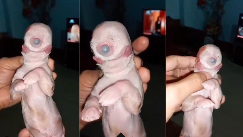  ���������� ������� �����-������ ���� 