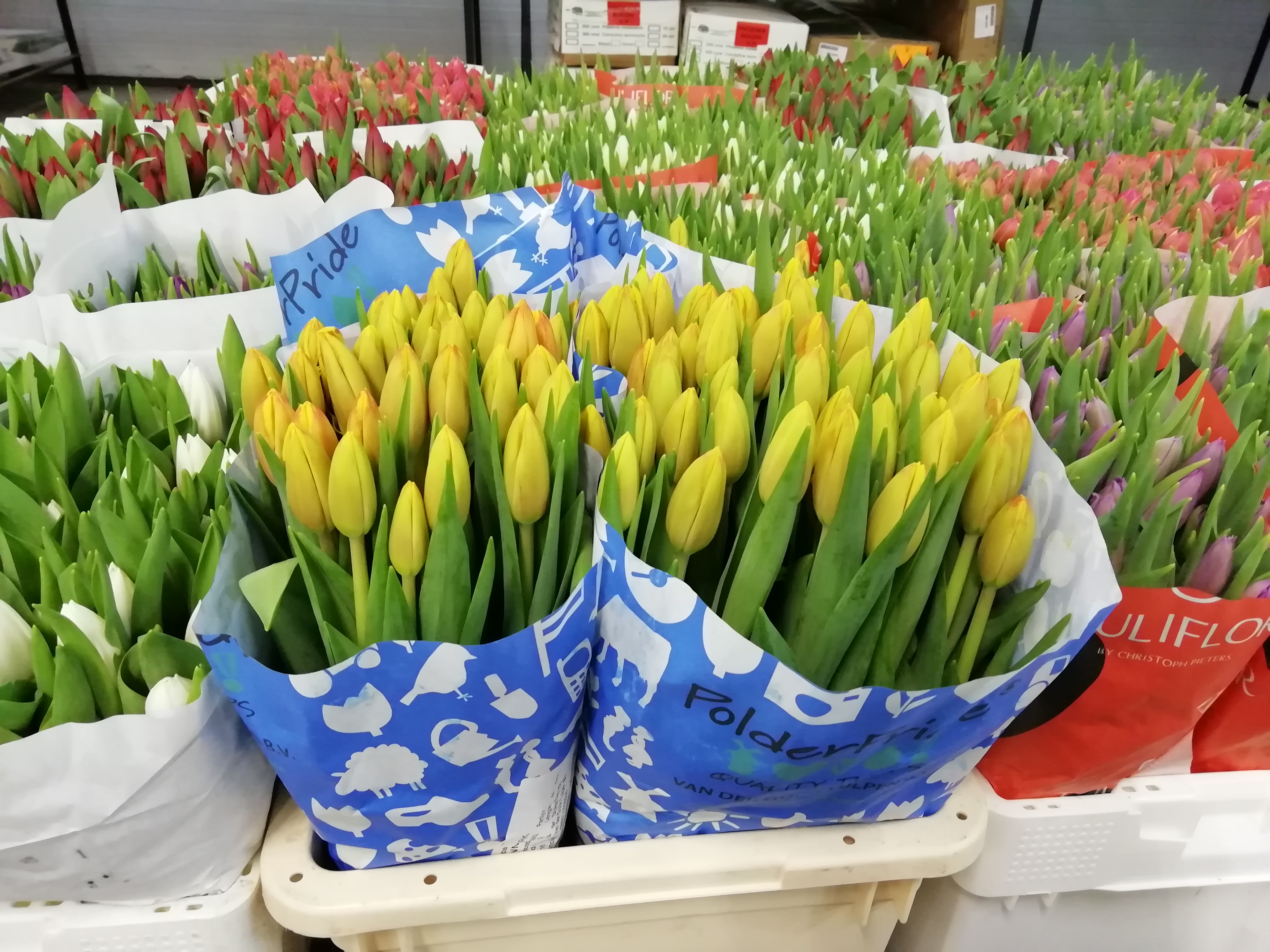  ������������� �������� ������� ��������� ������ �������������� �������� 