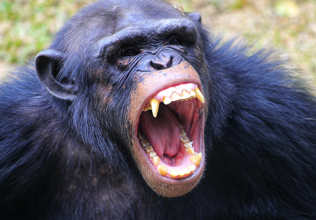  ������ �������� ����������� �������� �������� ������� 