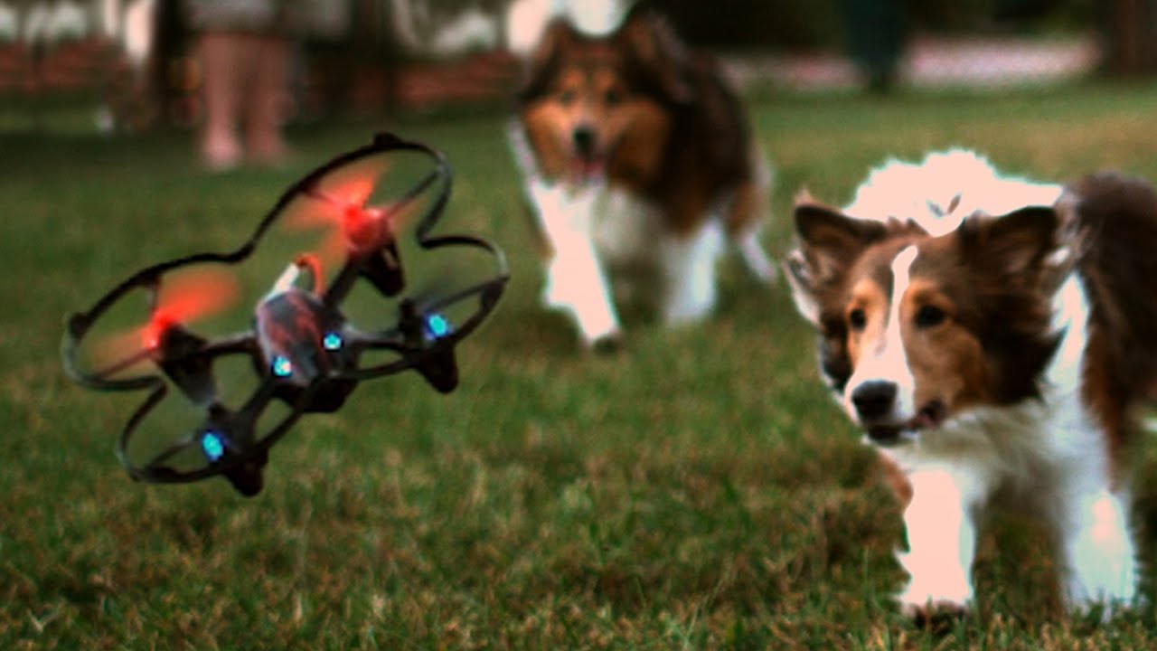  ������ ������ ��������� ������� ���������� ����������� ���������� ���������� 