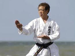 Хироказу Каназава, спорт, карате