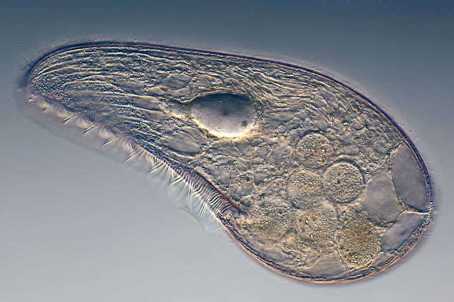  ������ ����� ���������� ������ �������� ���� 