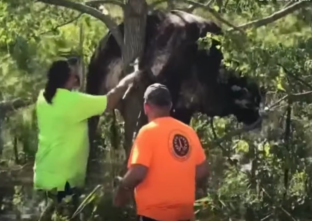  ��� ������ �������� ������ ����� ������� ��� ������������ 