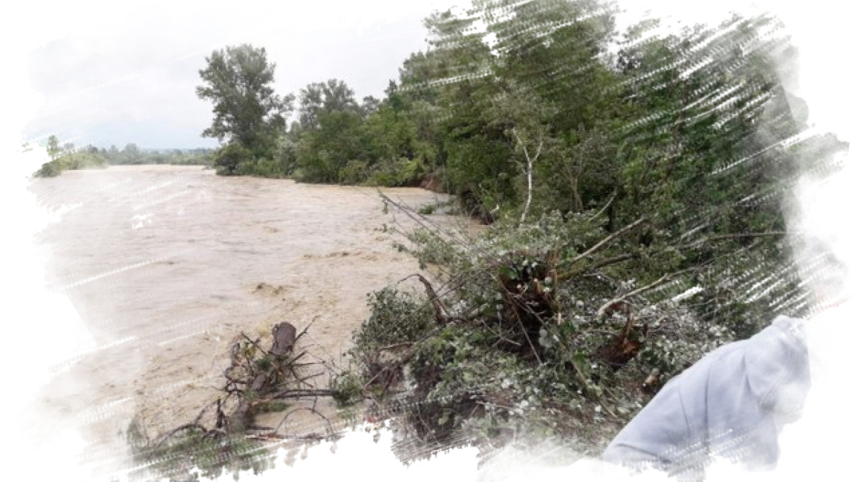  ����������� ������ ��������� ������������ ������ �������� 