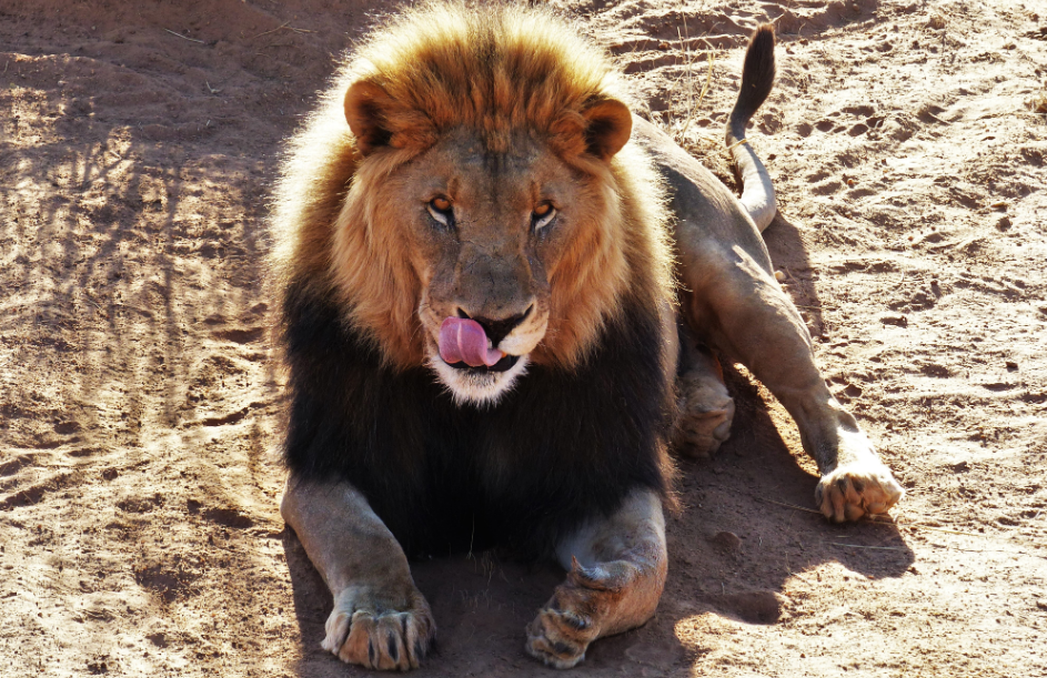  ���������� ���� ����� ��������� ����� 