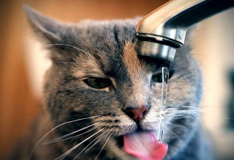  ������ ����� ������ �������� ����� �������� 