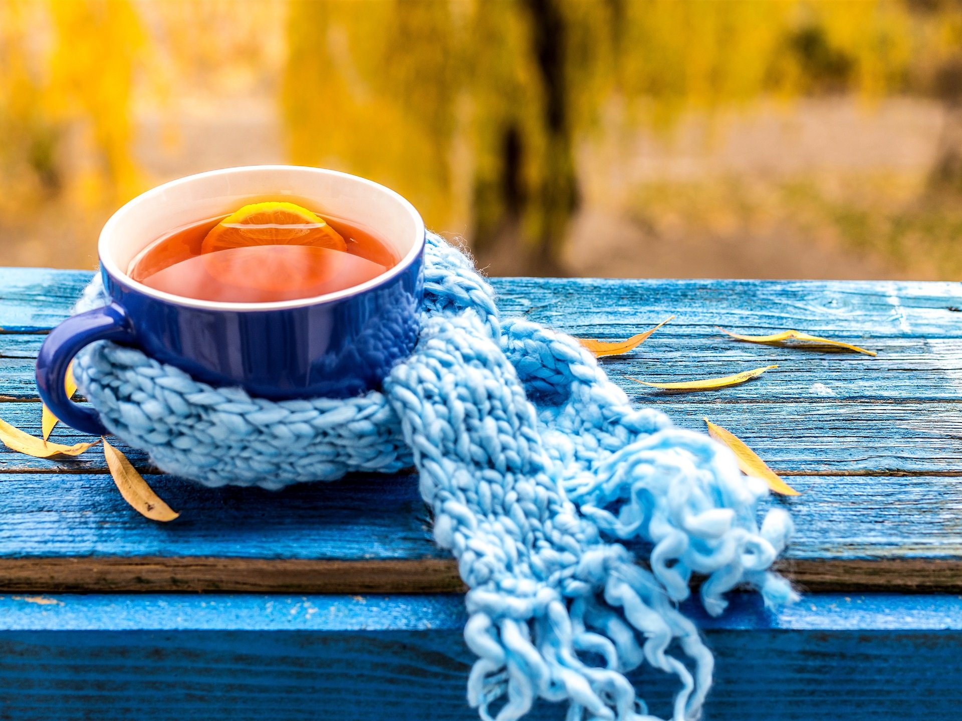  ������� ������ ������� ����� ����������� 