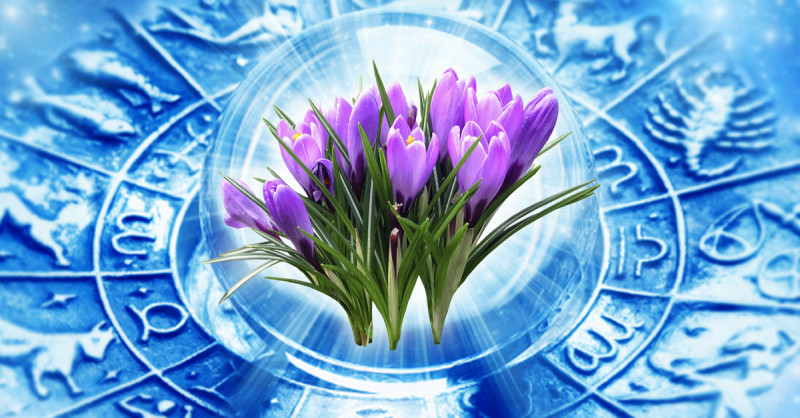 Spring starts with a surprise for some zodiac signs: the morning of March 1 can change your plans