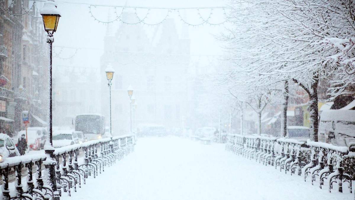  ������� ����� ��������� ������ �������� 