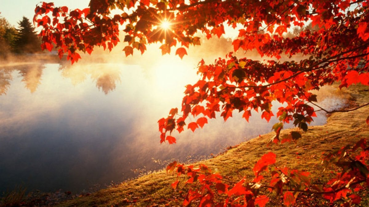  ���������� ����� ������� ������� ��������� ��� 