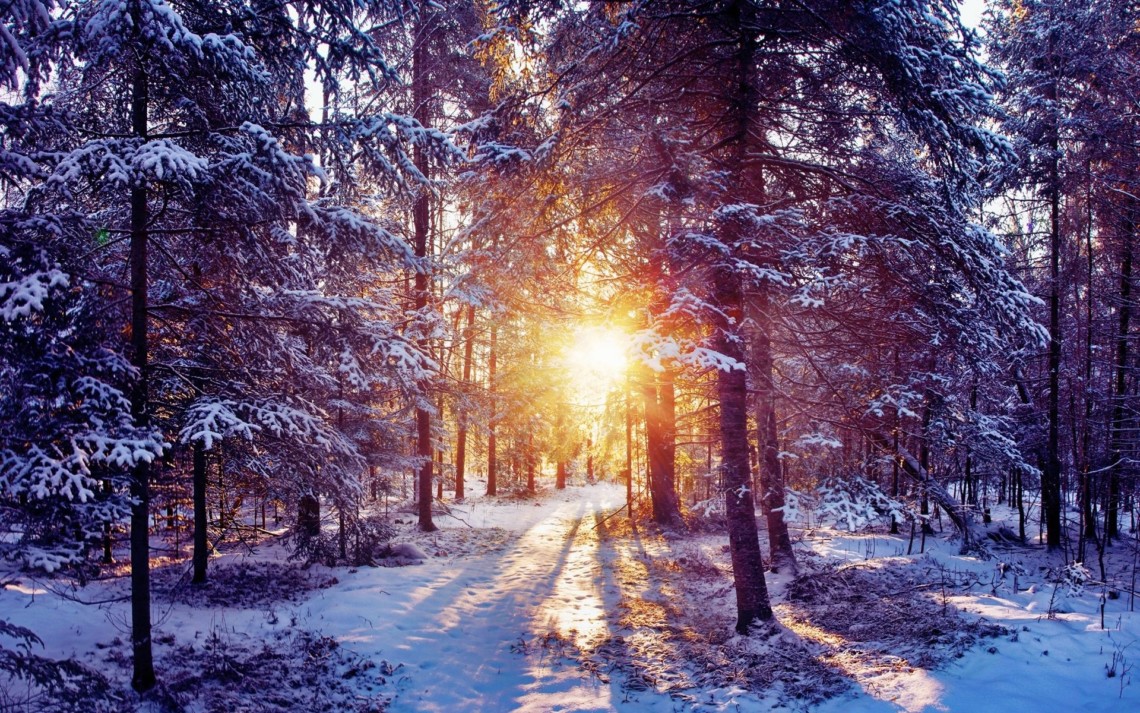 ����: comments.ua