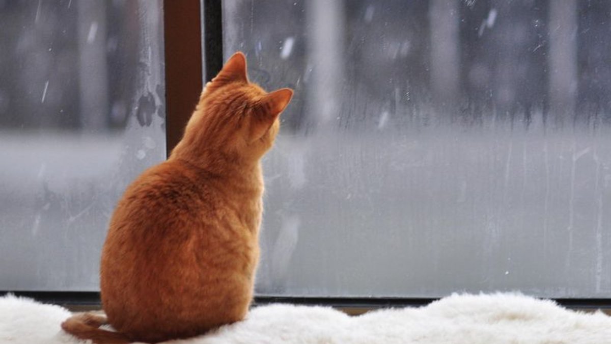  ���������� ������ ����������� ��������� ����� ������ ������� ������ 