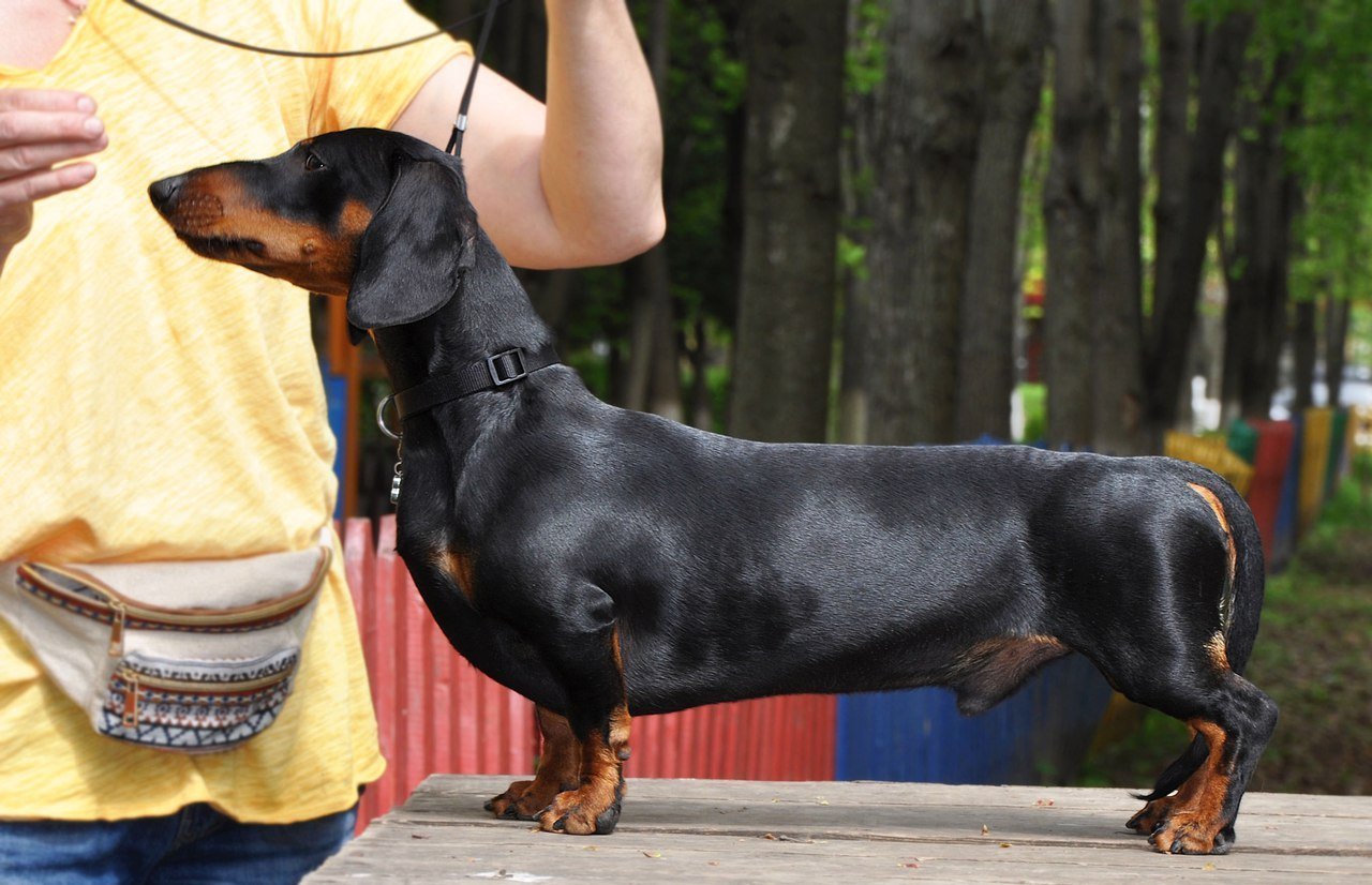  ��������� ��������� ����������� ��� ������ ������� ������� ������������� 