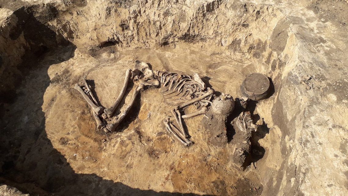  ������ ����� ����� ������� ������ ���� 