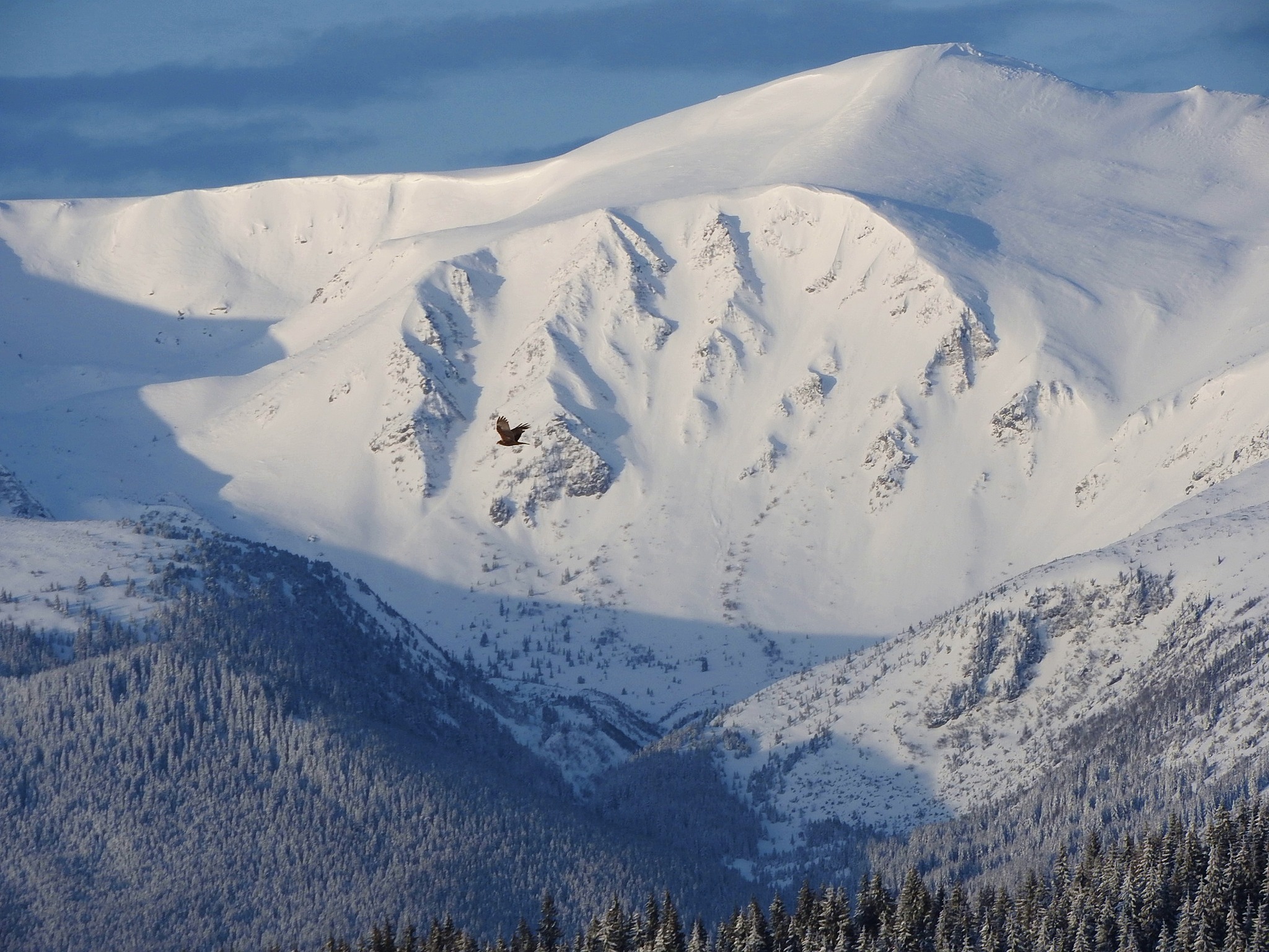  ��������� ������������� ��������� �������� 