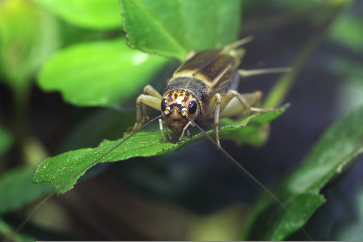  �������� ������� ������� ��������� ������� ���������� ������� ������ 