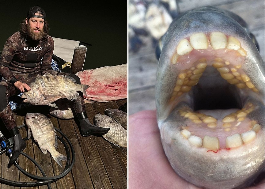  ������������ ��������� ������ ���� ������������� ������ 